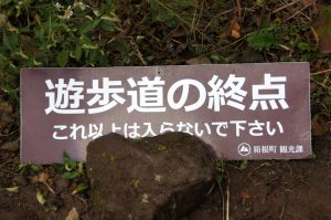 仙石原の遊歩道（終点）