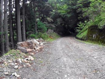 青崩峠手前までの砂利道