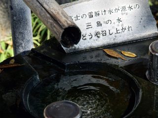 めぐみの子（三島の水）