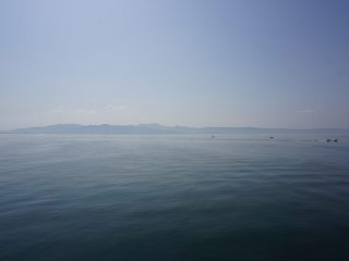 熊本フェリー（熊本寄り）
