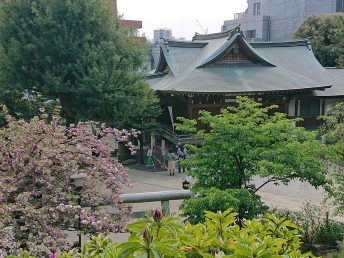 富士塚山頂より（鳩森八幡神社）