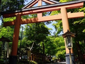日吉大社（山王鳥居）