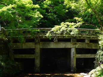 日吉大社（石橋）