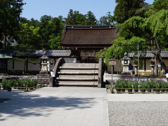 多賀大社（反橋）