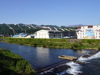 長良川を泳ぐこいのぼり