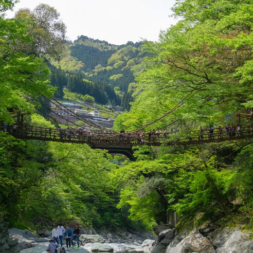 祖谷の蔓橋