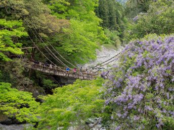 祖谷のかずら橋