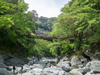 祖谷のかずら橋（川岸から）