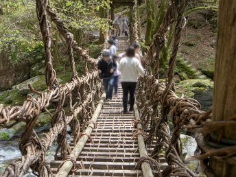 奥祖谷の二重かずら橋