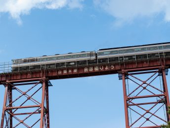 鉄橋を渡るキハ181系（2008年11月）