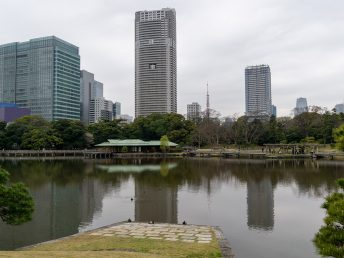 潮入の池と映り込む都会