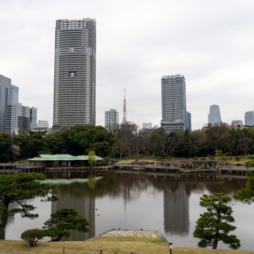 潮入の池と映り込む都会