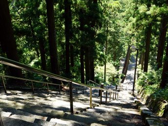山門～本堂前の階段（久遠寺）