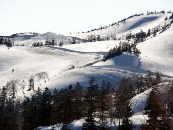 雪に刻まれた道（八幡平）