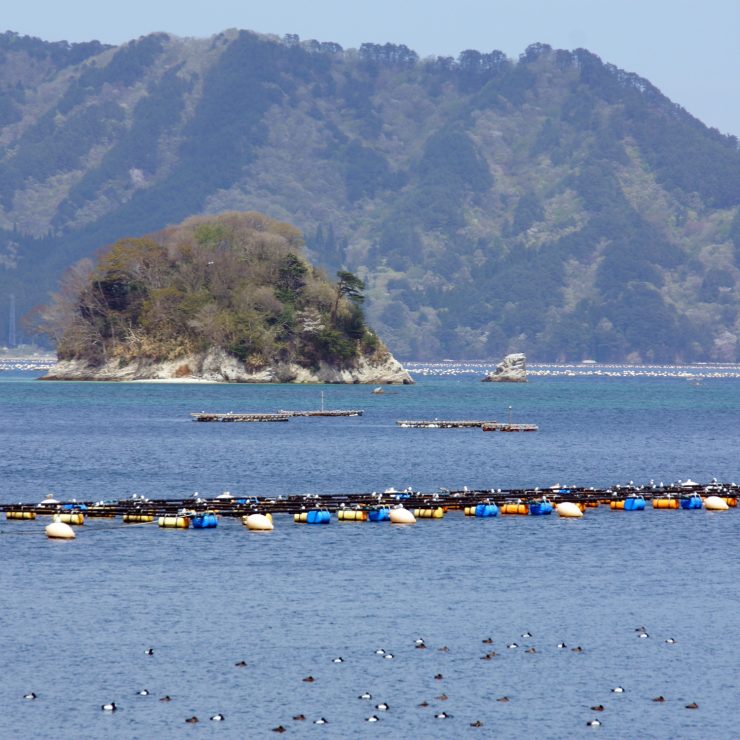 山田湾