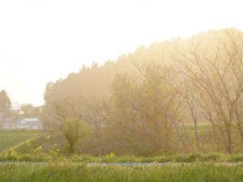 夕日（二俣川）