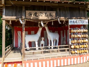 神鹿絵馬殿（砥鹿神社）