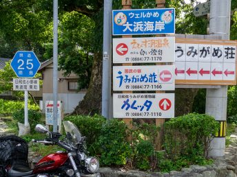 八幡神社の大楠近く