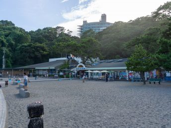 桂浜水族館（桂浜）