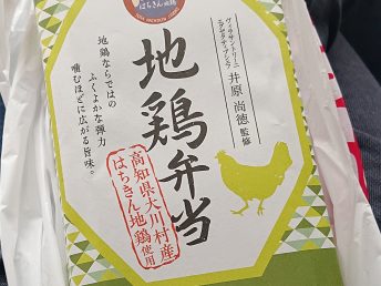 地鶏弁当