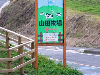 牧場へ