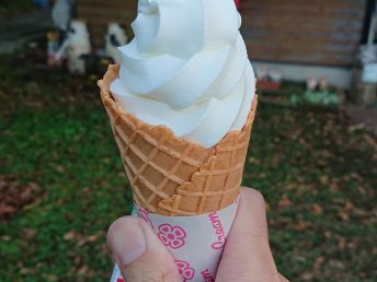 ソフトクリーム