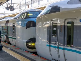 パンダくろしお（和歌山駅）