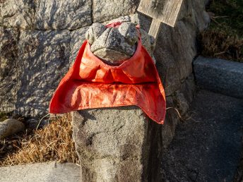 若ガエル様（摩耶山天上寺）