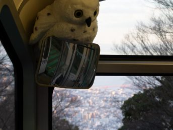 ふくろう越しの神戸の街並み（まやケーブル）