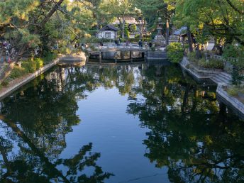 反橋から（住吉大社）