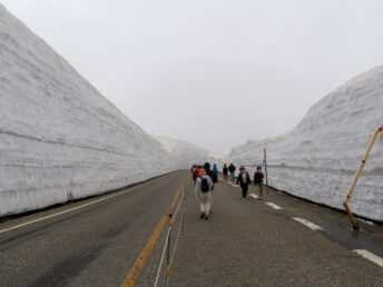 ウォーキングゾーン（雪の大谷）