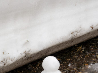 雪だるま？（雪の大谷）