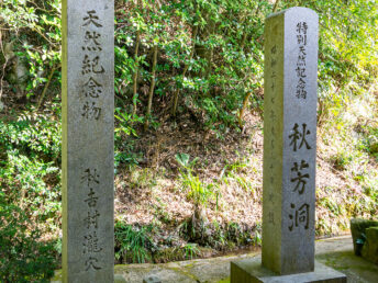 天然記念物の碑（秋芳洞）