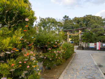 傘みくじ（松陰神社）