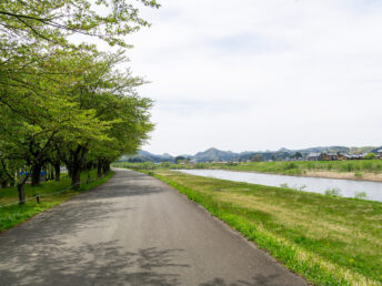 桧木内川（角館）