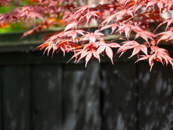 武家屋敷通り（角館）