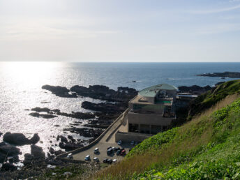 男鹿水族館GAO