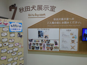 秋田犬展示室（秋田犬の里）