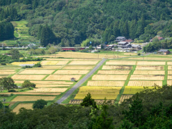 稲刈り後（農村景観日本一展望所）