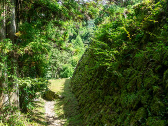 埋門側の石垣（岩村城跡）