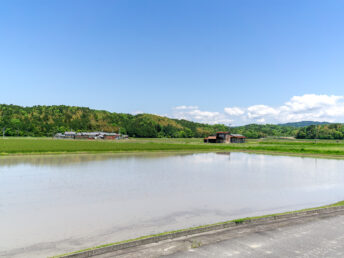 伊賀市古郡付近（国道422号線）
