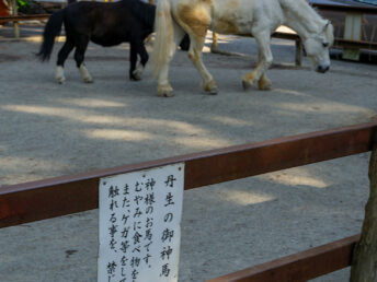 神馬（丹生川上神社下社）