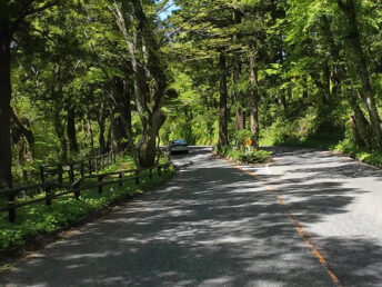 佐陀川手前付近（県道158号線）
