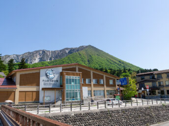 大山と自然歴史館