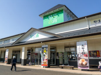 道の駅 琴の浦