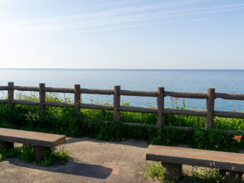 龍見台