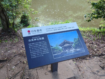 樹叢（白兎神社）