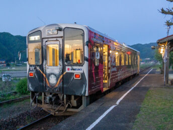 隼ラッピング列車（隼駅）