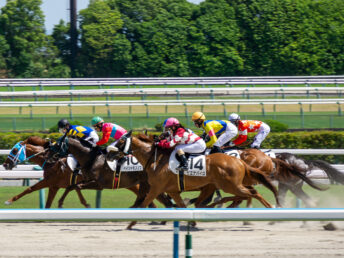 馬場（JRA京都競馬場）