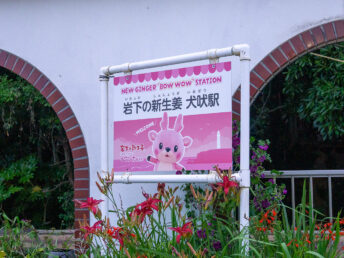 岩下の新生姜駅？
